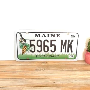Plaque d'Immatriculation Américaine Vintage Maine "Vacationland" – Décoration Murale